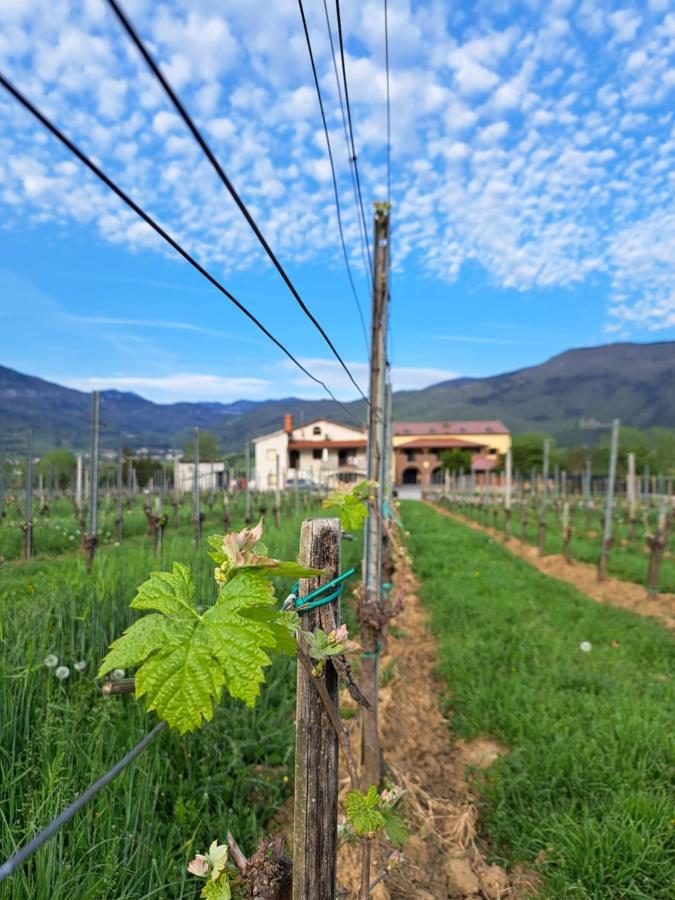 Posestvo Rouna - Winery And Apartments Vipava Exterior photo